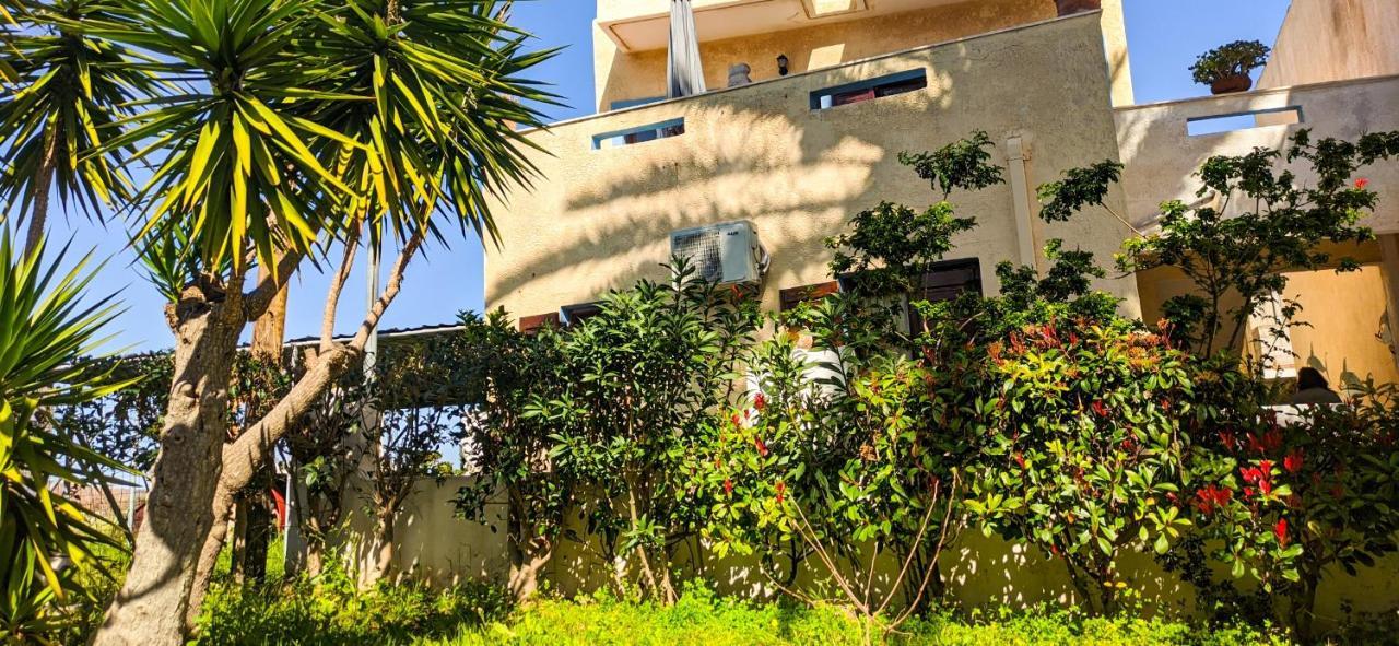 باليكاسترون Knossos Apartments المظهر الخارجي الصورة